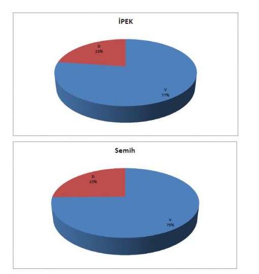   Antrenman Yoklama Ve Ortalamaları,Antrenman istatistikleri,eskrim,epe,eskrim kursu