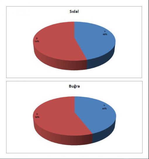   Antrenman Yoklama Ve Ortalamaları,Antrenman istatistikleri,eskrim,epe,eskrim kursu